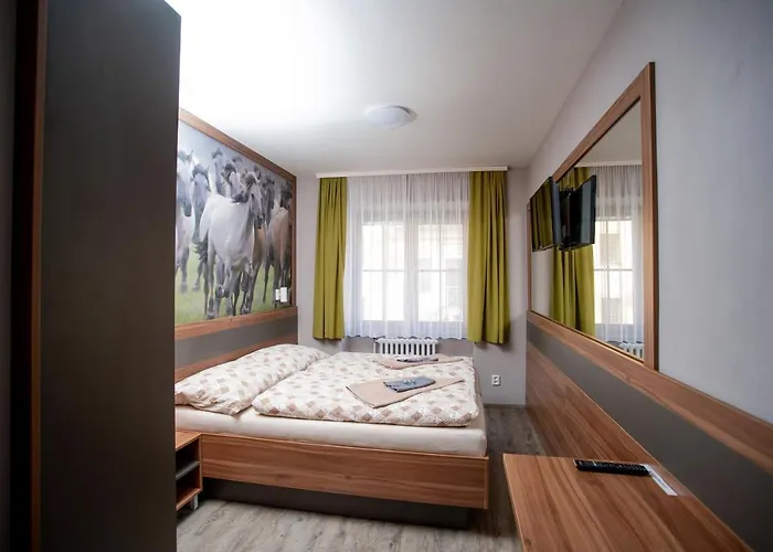 Hotel U Kone